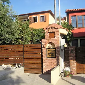 https://studios-arabas.hotelschalkidiki.net